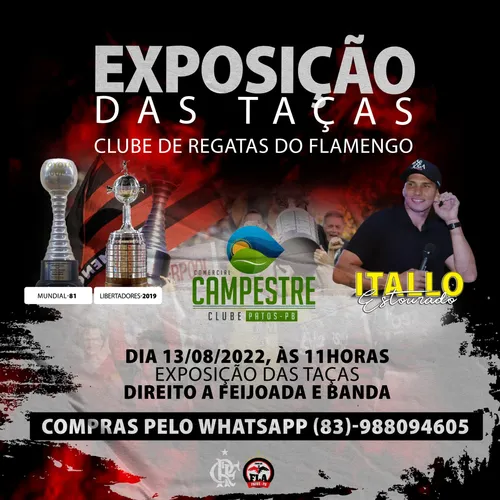 
				
					Patos receberá as taças do Flamengo do Mundial de 1981 e da Libertadores de 2019
				
				