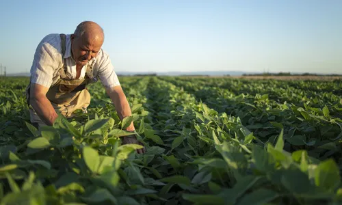 
                                        
                                            Sicredi disponibiliza mais de R$ 50 bilhões em crédito para produtores rurais; Norte e Nordeste serão contemplados
                                        
                                        