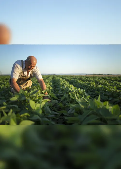 
                                        
                                            Sicredi disponibiliza mais de R$ 50 bilhões em crédito para produtores rurais; Norte e Nordeste serão contemplados
                                        
                                        