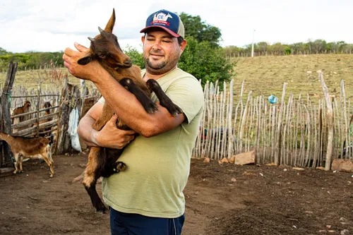 
				
					Produção de leite de cabra da cidade de Prata é tradicional e uma das melhores do Brasil
				
				