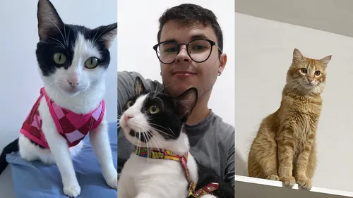 
				
					Pai de Pet: a ressignificação dos cuidados em relação aos animais
				
				