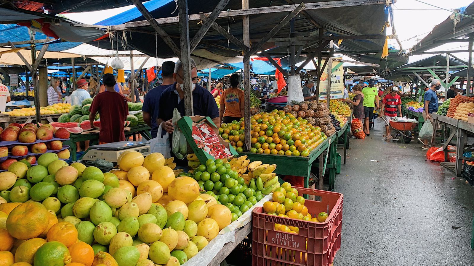 
                                        
                                            Preço de produtos de hortifruti varia até R$ 15, em João Pessoa
                                        
                                        