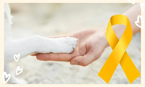 
                                        
                                            Setembro Amarelo: cuidados com os médicos veterinários
                                        
                                        