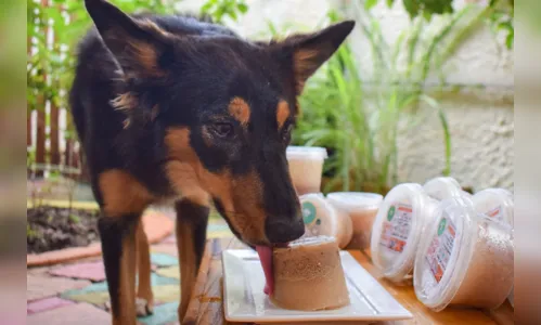 
				
					Petiscos naturais: receitas seguras para agradar seu cãozinho
				
				