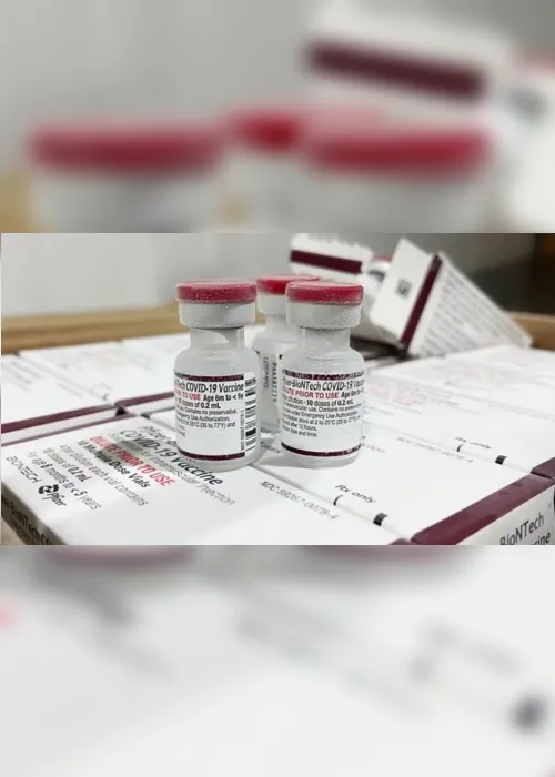 
                                        
                                            Saúde da Paraíba distribui doses pediátricas de vacina contra Covid-19 aos municípios
                                        
                                        