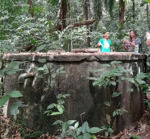 
				
					Turismo ecológico: conheça o ‘Parque da Nascença’ em Itapororoca
				
				