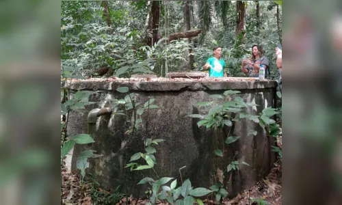 
				
					Turismo ecológico: conheça o ‘Parque da Nascença’ em Itapororoca
				
				