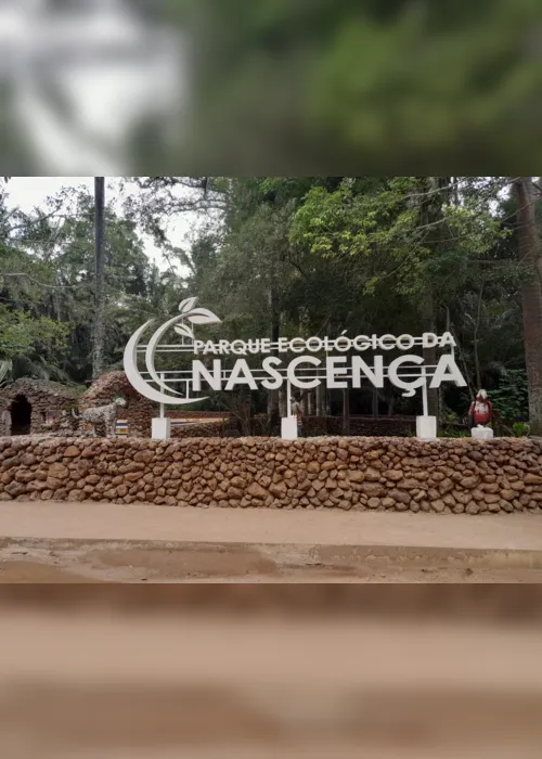 
                                        
                                            Turismo ecológico: conheça o ‘Parque da Nascença’ em Itapororoca
                                        
                                        
