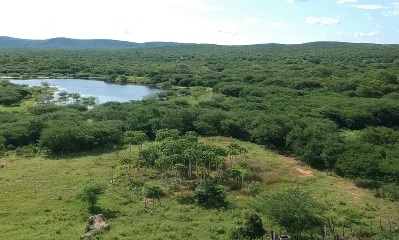 Benefícios da energia solar estimulam formação de cooperativas e potencializam agricultura familiar na Paraíba