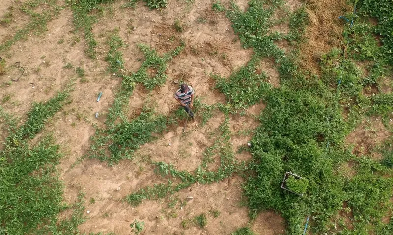 Benefícios da energia solar estimulam formação de cooperativas e potencializam agricultura familiar na Paraíba