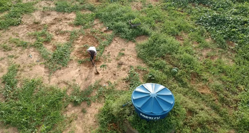 Benefícios da energia solar estimulam formação de cooperativas e potencializam agricultura familiar na Paraíba