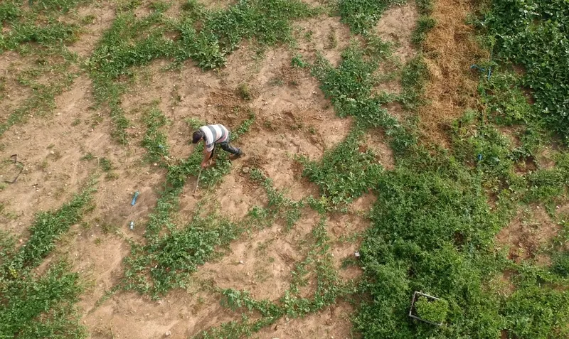 Benefícios da energia solar estimulam formação de cooperativas e potencializam agricultura familiar na Paraíba