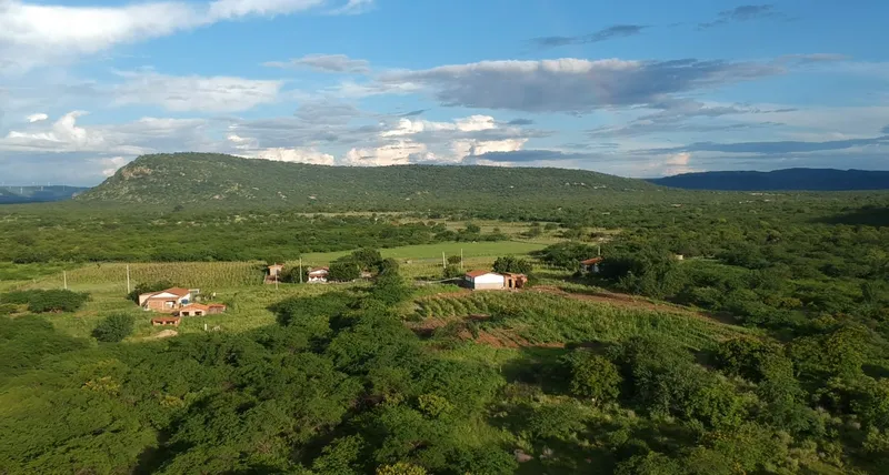 Benefícios da energia solar estimulam formação de cooperativas e potencializam agricultura familiar na Paraíba