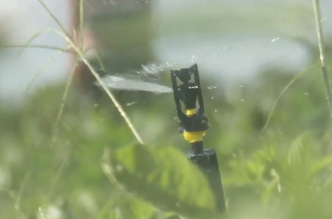 Benefícios da energia solar estimulam formação de cooperativas e potencializam agricultura familiar na Paraíba