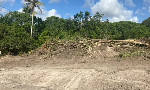 
                                        
                                            MPPB e Polícia Ambiental embargam obra do Estado em área de Mata Atlântica
                                        
                                        