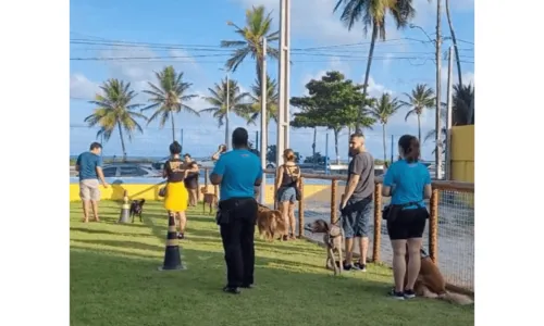 
                                        
                                            Aulas de adestramento em grupo em Intermares
                                        
                                        