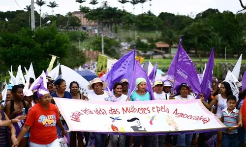 
                                        
                                            Marcha pela Vida das Mulheres denuncia impactos negativos dos parques eólicos e usinas solares
                                        
                                        