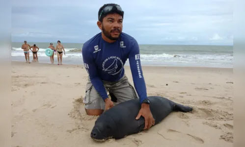 
				
					Filhote de peixe-boi-marinho é resgatado em praia de Gramame, na Paraíba
				
				