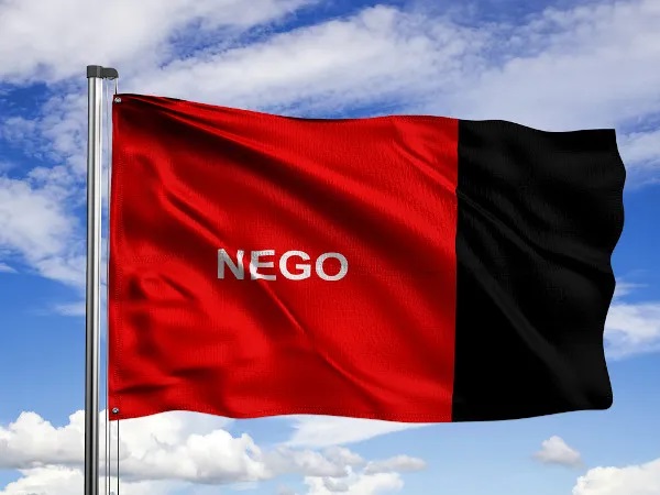 Bandeira da Paraíba: a história do 'Nego'