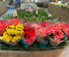 Feira de Flores de Holambra acontece em João Pessoa até 21 de maio