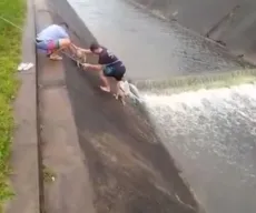 Homens resgatam cachorros em canal de Campina Grande; veja vídeo