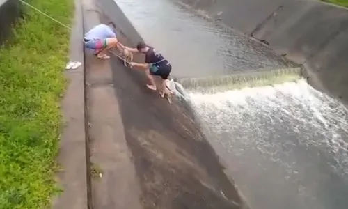 
                                        
                                            Homens resgatam cachorros em canal de Campina Grande; veja vídeo
                                        
                                        