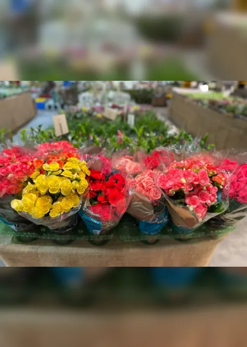 
                                        
                                            Feira de Flores de Holambra acontece em João Pessoa até 21 de maio
                                        
                                        