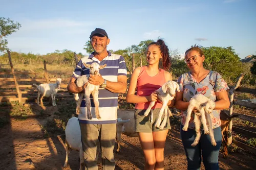 
				
					Nova indústria de laticínios na PB tem 79 famílias de criadores de cabra como 'donas'; entenda como funciona cooperativa
				
				