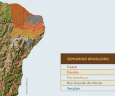 Caatinga no Nordeste: auditoria dos Tribunais de Contas revela deficiência no combate à desertificação