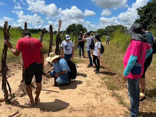 
				
					Cachoeira dos Índios tem presença Tupi, apontam vestígios
				
				