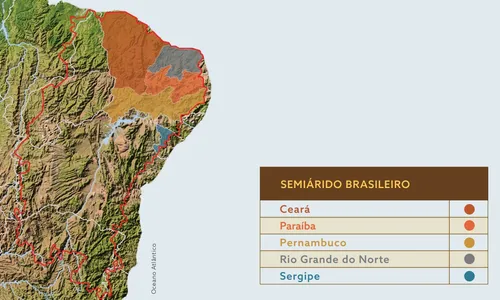 
                                        
                                            Caatinga no Nordeste: auditoria dos Tribunais de Contas revela deficiência no combate à desertificação
                                        
                                        