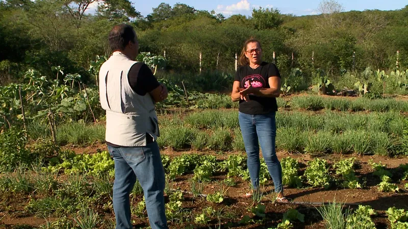 Obras inacabadas deixam agricultores sem água e marchantes sem matadouro na Paraíba