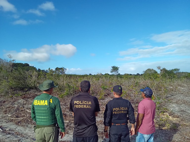 
                                        
                                            Operação em terra indígena na PB embarga 80 hectares desmatados
                                        
                                        