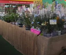Evento oferece mais de 200 tipos de plantas e flores ornamentais em Cabedelo, PB