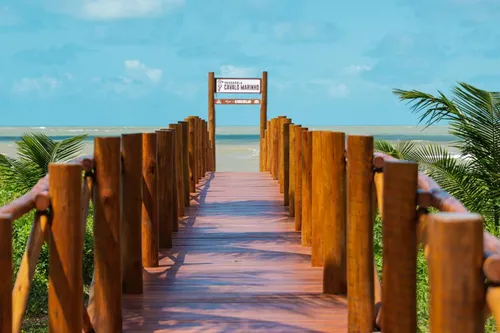 
				
					Verão: conheça todas as praias da Paraíba
				
				