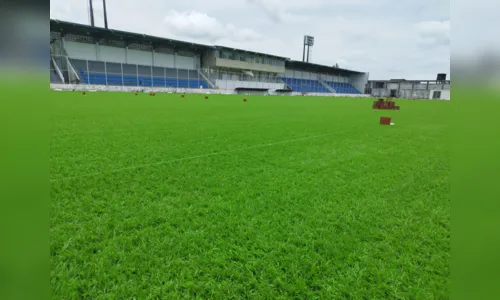 
				
					Estádio da Graça: confira imagens da nova grama sintética
				
				