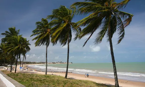 
                                        
                                            Verão: conheça todas as praias da Paraíba
                                        
                                        