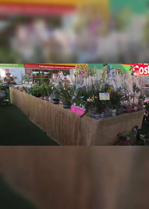 
                                        
                                            Evento oferece mais de 200 tipos de plantas e flores ornamentais em Cabedelo, PB
                                        
                                        
