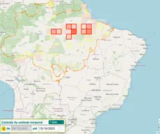 Desmatamento da Amazônia caiu 42%, mas incêndios aumentam, diz estudo