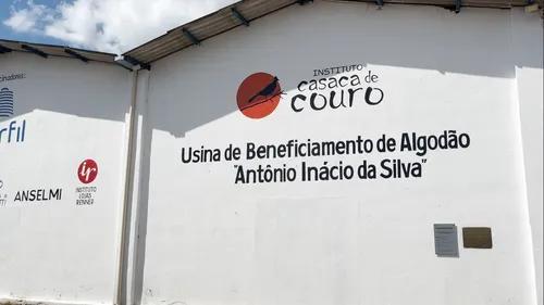 
				
					Plantio de algodão movimenta a economia da região Agreste da Paraíba
				
				