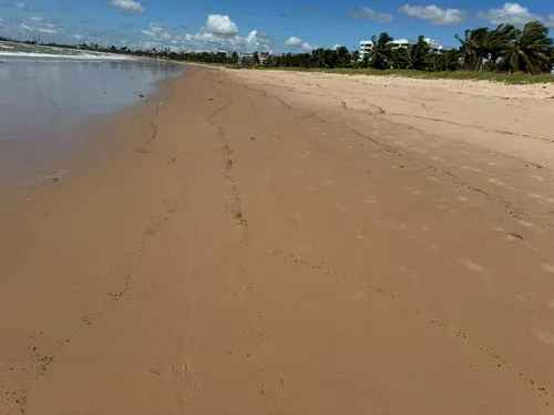 
				
					Manchas de óleo são encontradas em praias da Paraíba
				
				