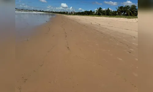 
				
					Manchas de óleo são encontradas em praias da Paraíba
				
				