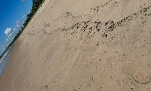 
                                        
                                            Manchas de óleo são encontradas em praias da Paraíba
                                        
                                        