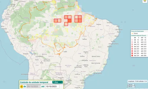 
                                        
                                            Desmatamento da Amazônia caiu 42%, mas incêndios aumentam, diz estudo
                                        
                                        