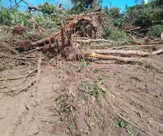 Território Tabajara: Justiça manda suspender obra em área que está em processo de demarcação