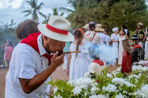 
				
					Jurema Sagrada: entenda tradição que tornou Alhandra berço da religião
				
				