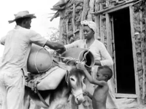 
				
					Consciência Negra: histórias negras no cinema brasileiro
				
				