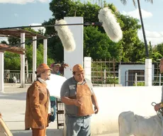 Rede Paraíba e equipe de 'O Sertão Vai Vir ao Mar' recebem votos de aplausos após recorde de audiência na TV Globo