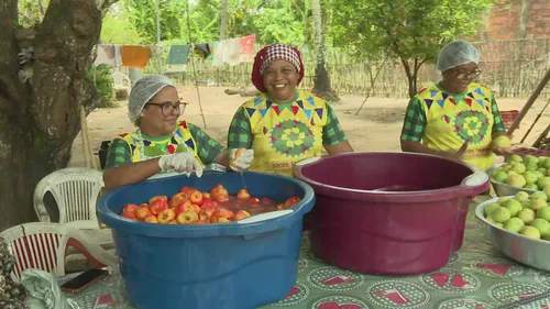 
				
					Conheça o 'Doce Tambaba', empreendimento da PB escolhido entre os 10 melhores na Expofavela
				
				