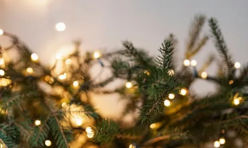 
				
					Símbolos do Natal: confira o que significam e a importância para os cristãos
				
				
